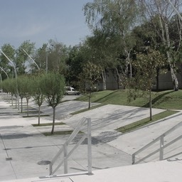 DSC00007
