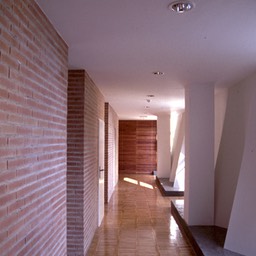 tan65 