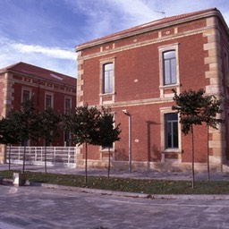 vice10 