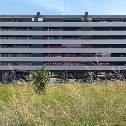 IMG 0019